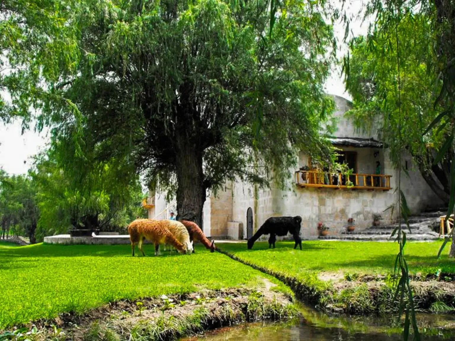 Especialidades culinarias La Gran Reserva